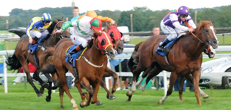 RacingLarge